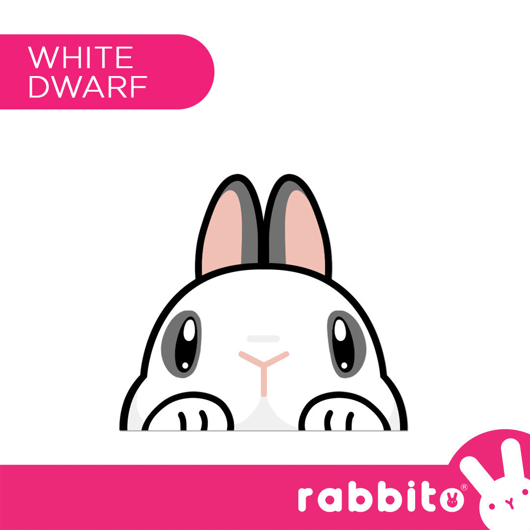 CABA STICKERS Bunny Peeker Stickers