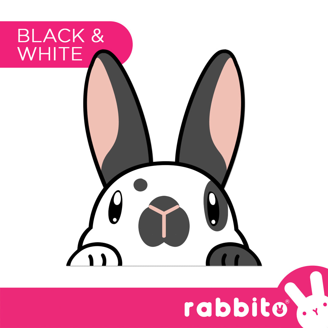 CABA STICKERS Bunny Peeker Stickers