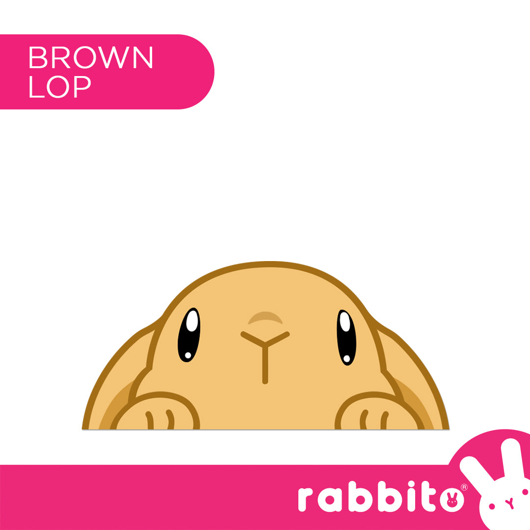 CABA STICKERS Bunny Peeker Stickers