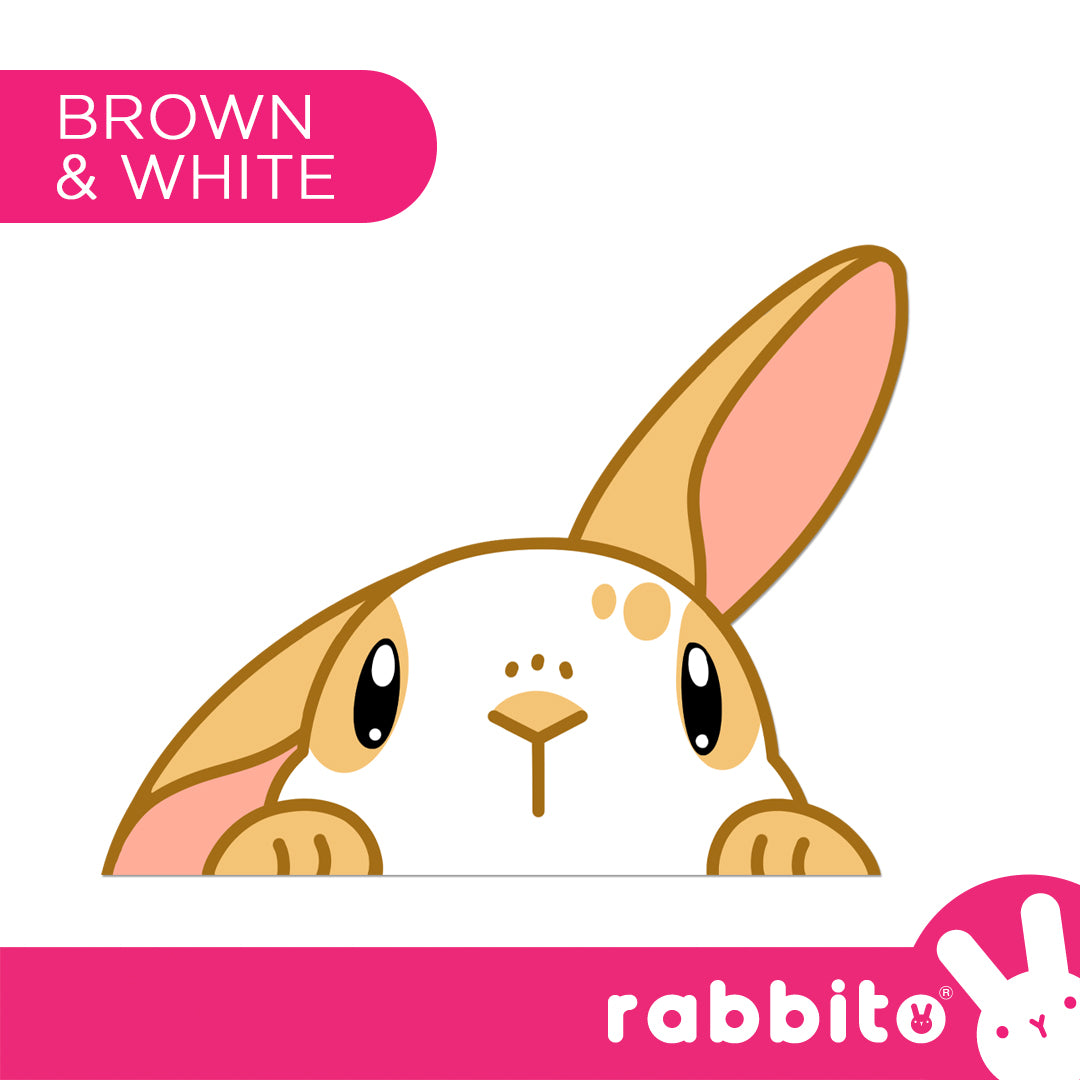 CABA STICKERS Bunny Peeker Stickers