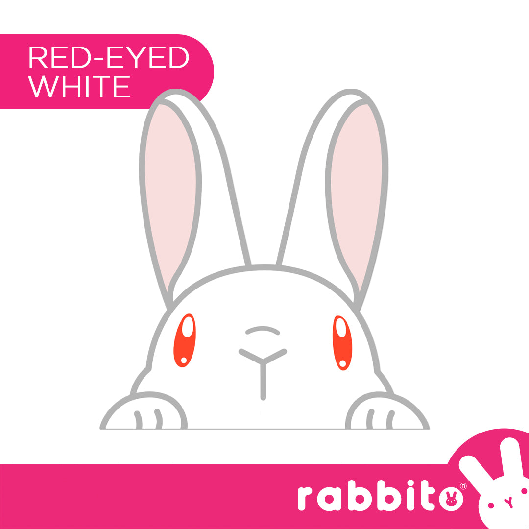 CABA STICKERS Bunny Peeker Stickers