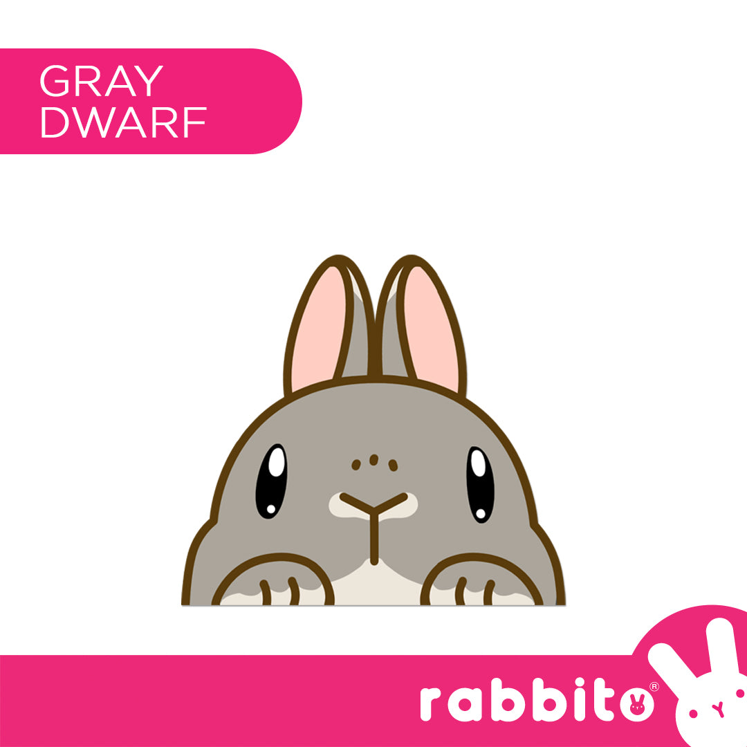 CABA STICKERS Bunny Peeker Stickers