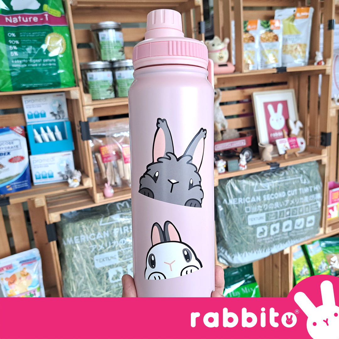 CABA STICKERS Bunny Peeker Stickers