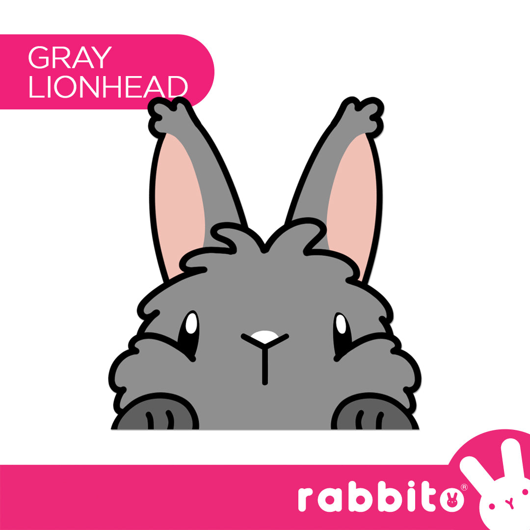 CABA STICKERS Bunny Peeker Stickers