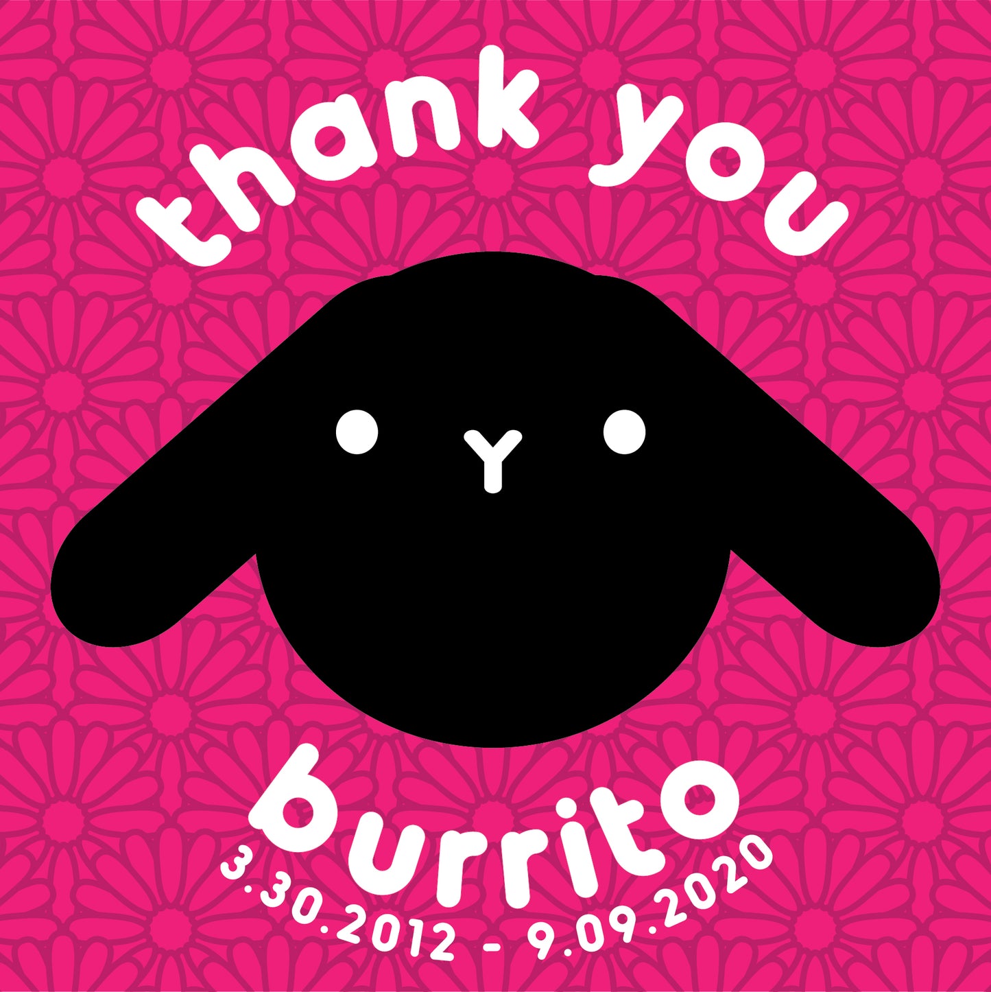 Burrito's Big Heart: LOVE IN A BOX - treats for a cause ❤️