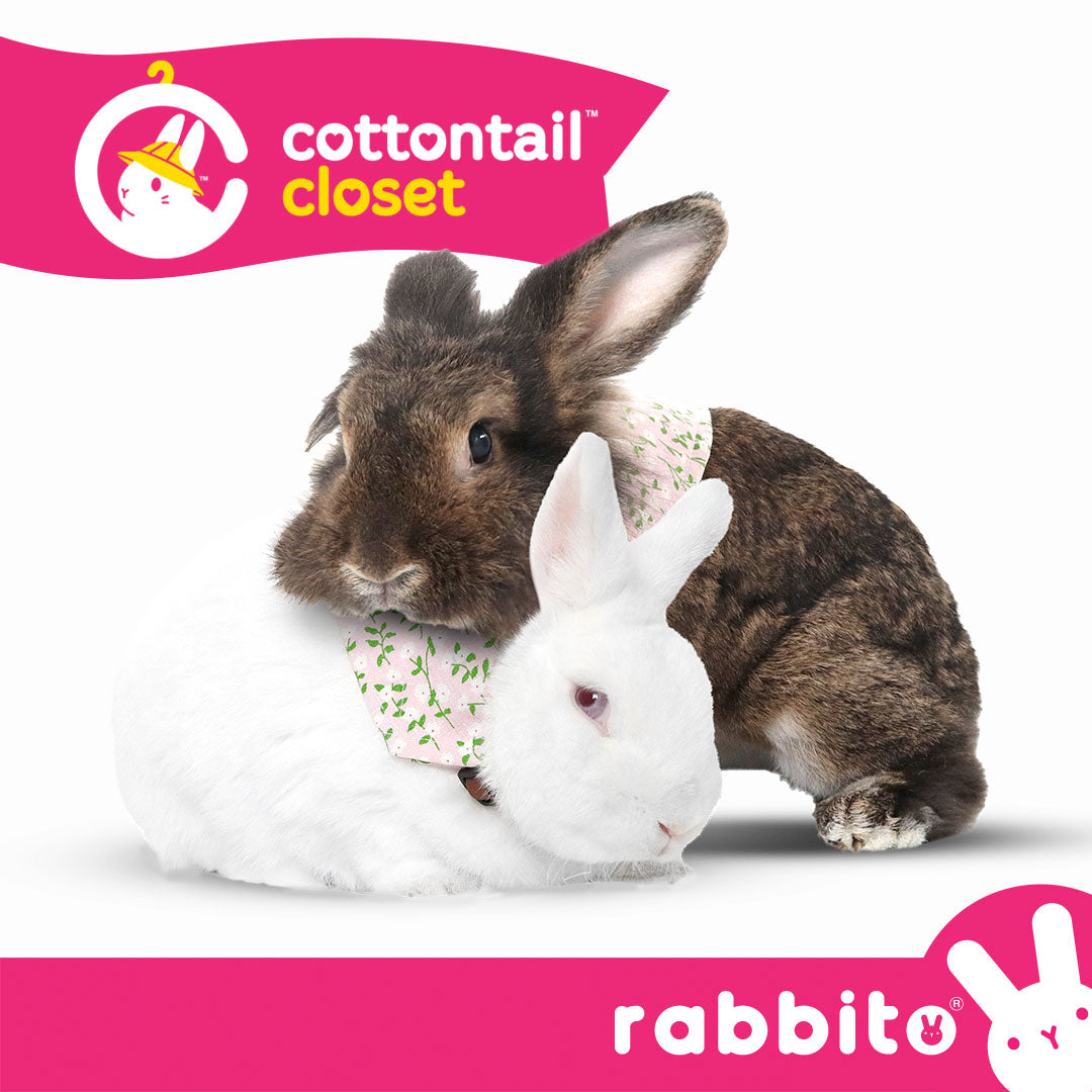 Cottontail Closet BINKY BUNDANA