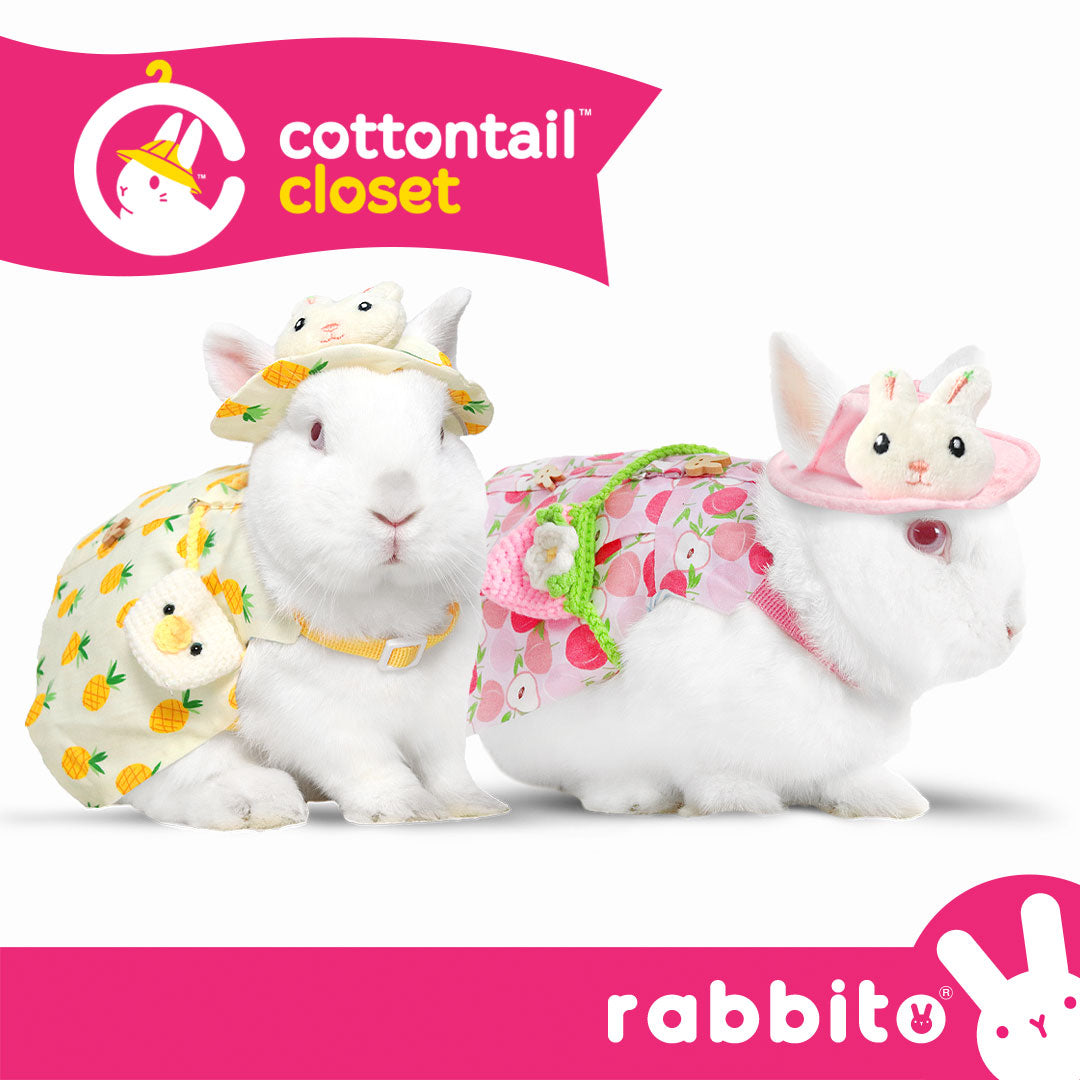 Cottontail Closet Dainty DRESS HARNESS SET
