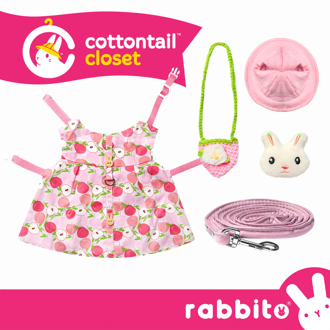 Cottontail Closet Dainty DRESS HARNESS SET
