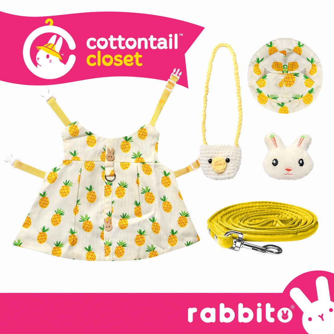 Cottontail Closet Dainty DRESS HARNESS SET