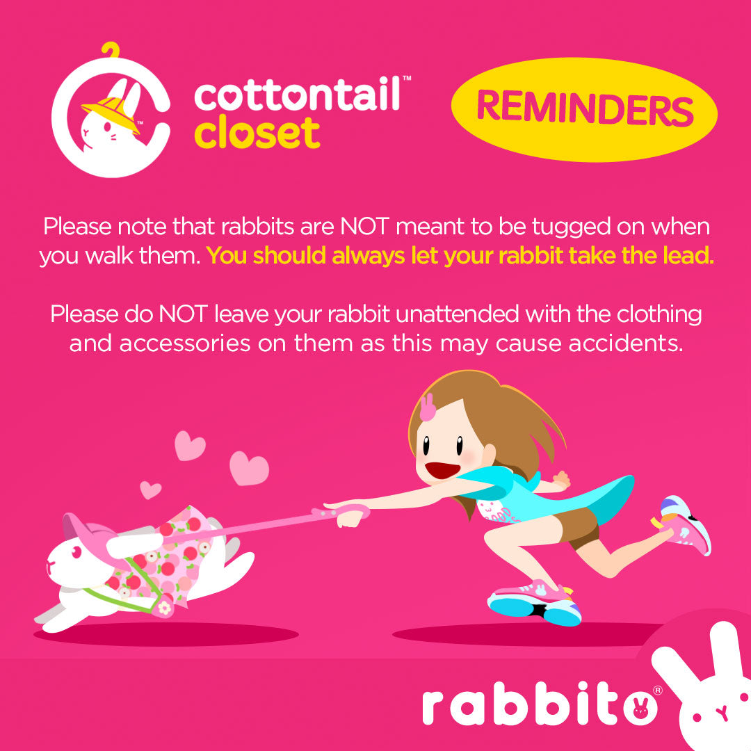 Cottontail Closet HOPPY HARNESS SET