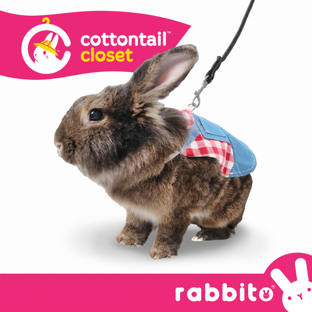Cottontail Closet HOPPY HARNESS SET