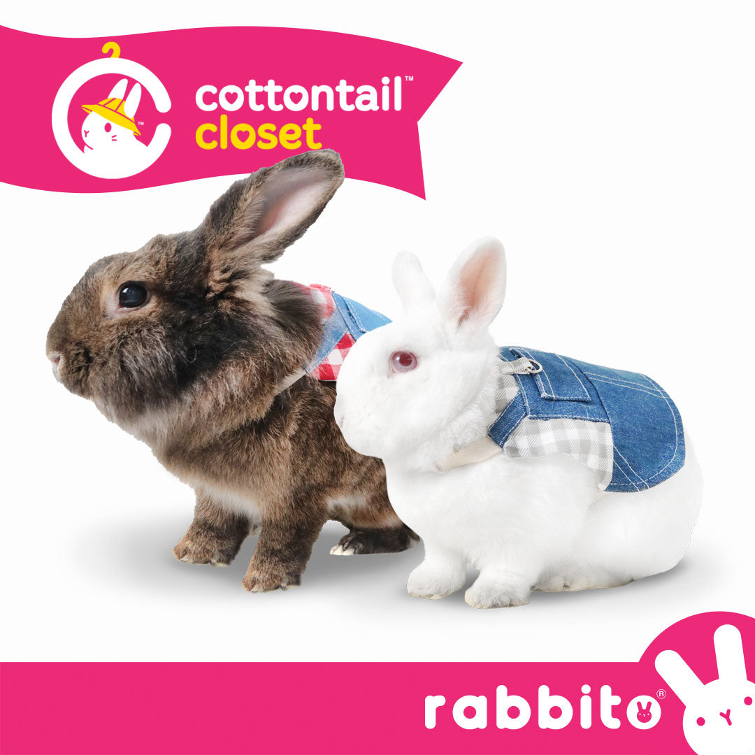 Cottontail Closet HOPPY HARNESS SET