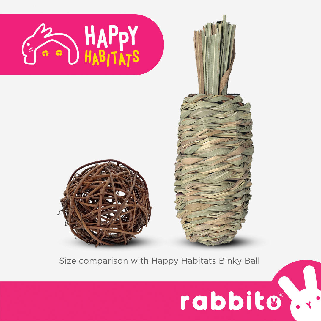 Happy Habitats Happy HAY CARROT Toy