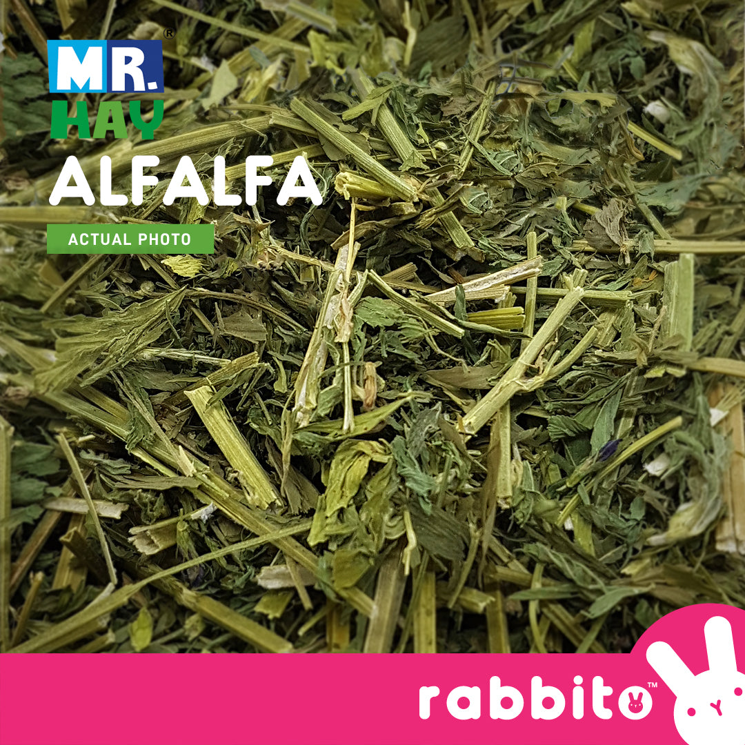 Mr. Hay Choppy Alfalfa Hay 500g