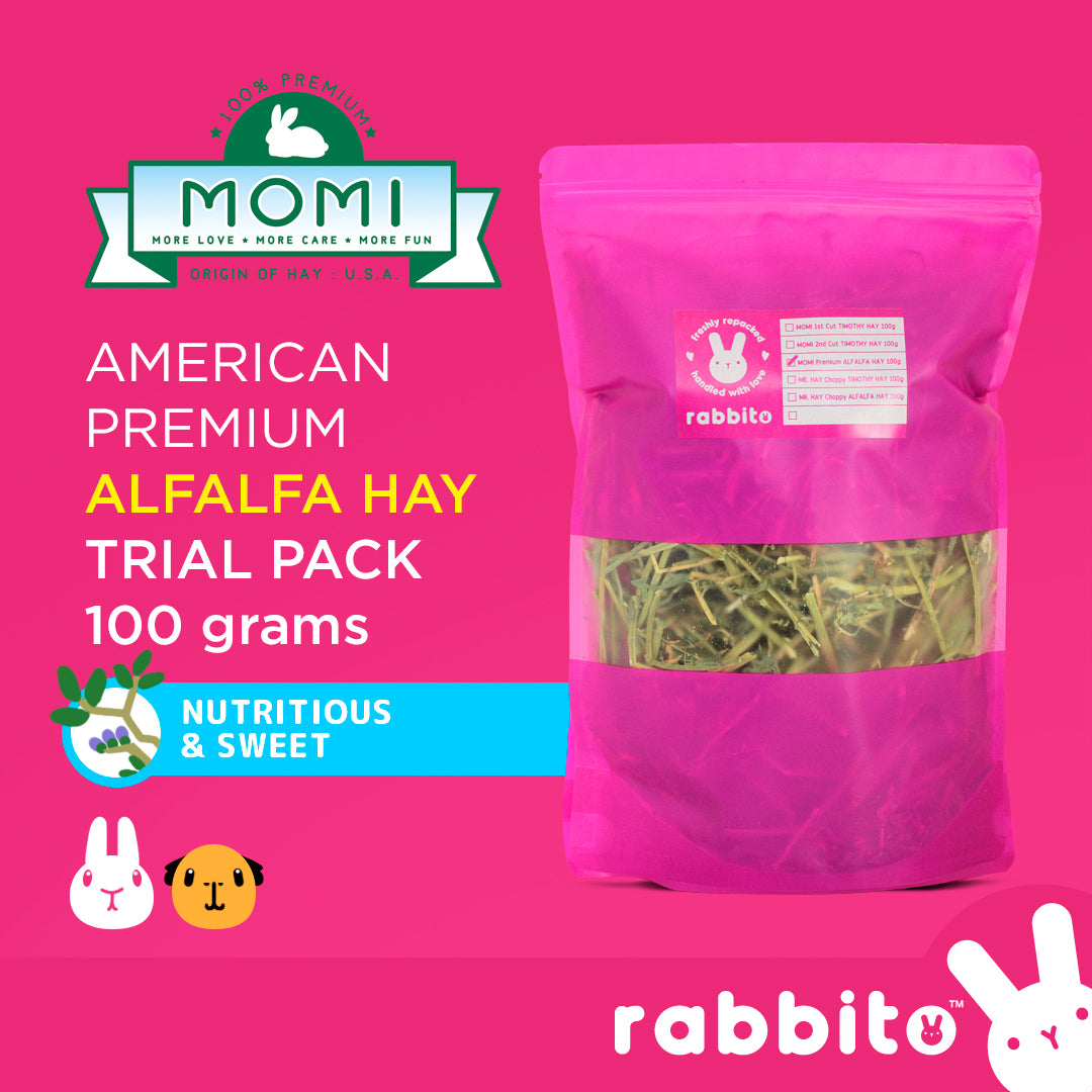 Alfalfa and Timothy Hay TRIAL PACKS 100g