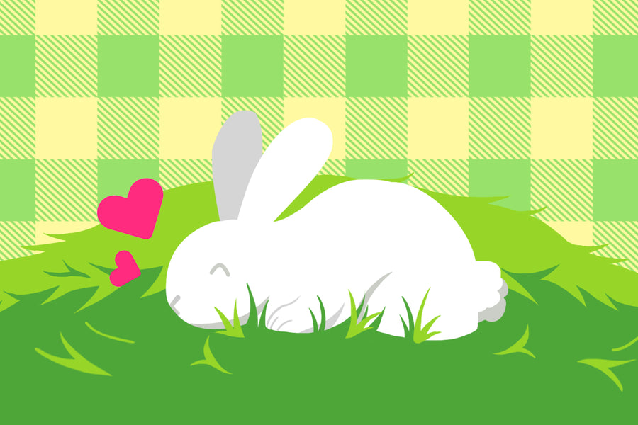 Diet: The Importance of HAY!