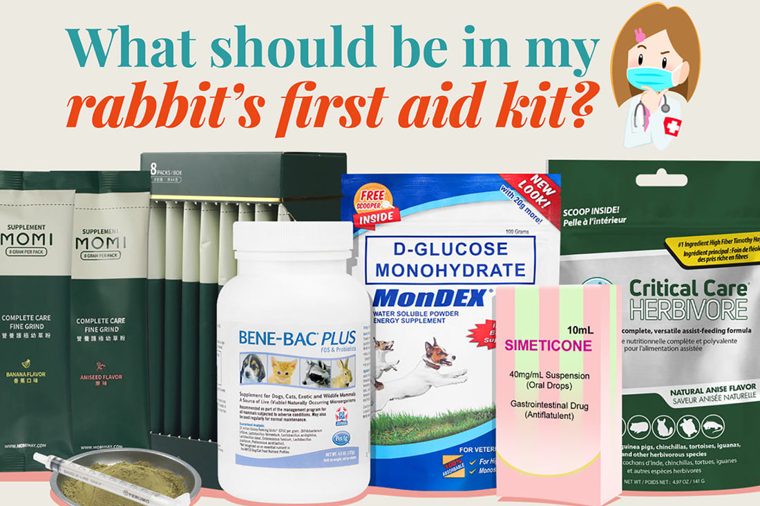 Underfed Rabbit Kit First Aid Kit for Rabbits – Rabbito