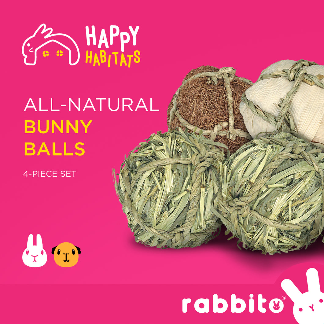 Happy Habitats All-Natural BUNNY BALLS Toy 4-piece Set