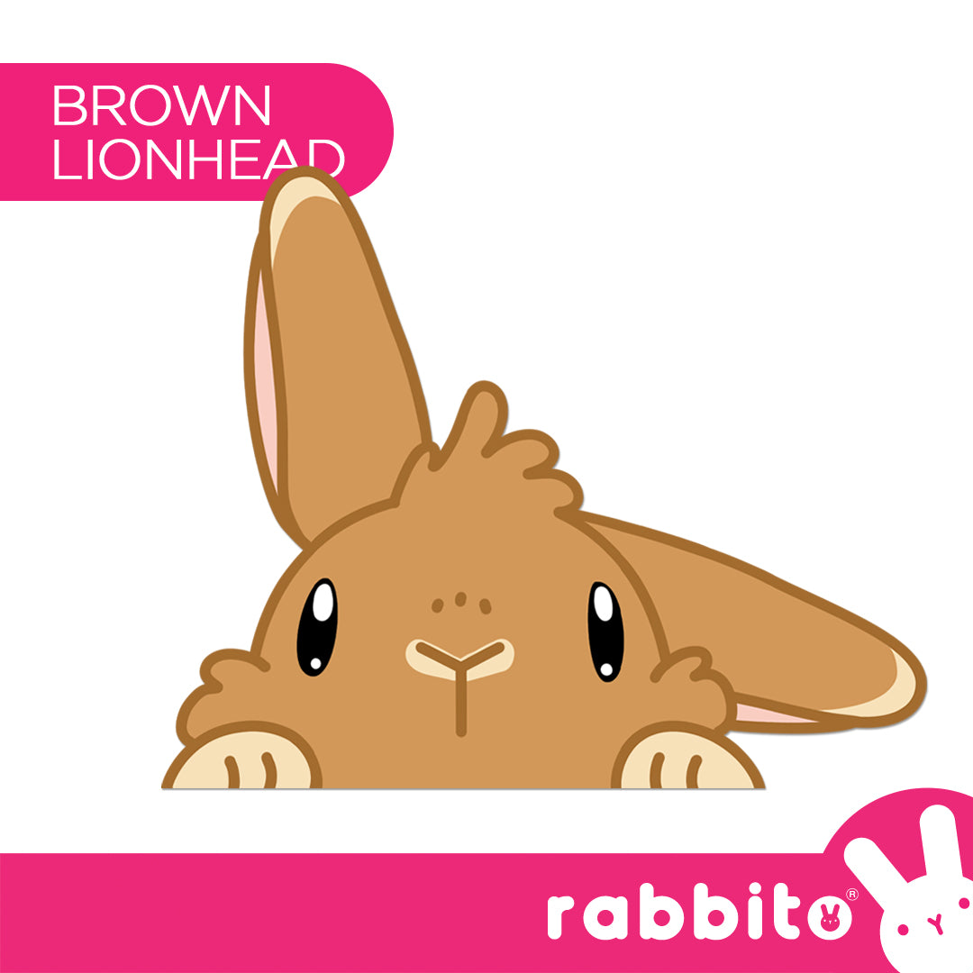 CABA STICKERS Bunny Peeker Stickers