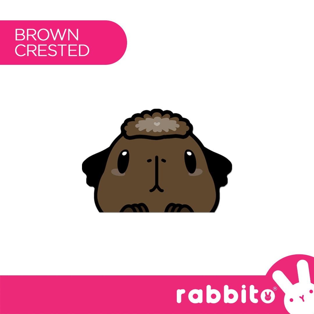 CABA STICKERS Guinea Pig Peeker Stickers