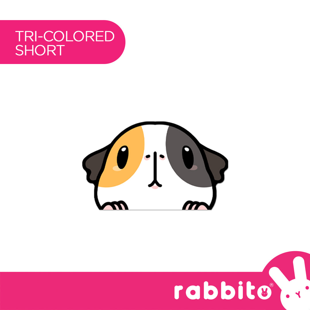 CABA STICKERS Guinea Pig Peeker Stickers