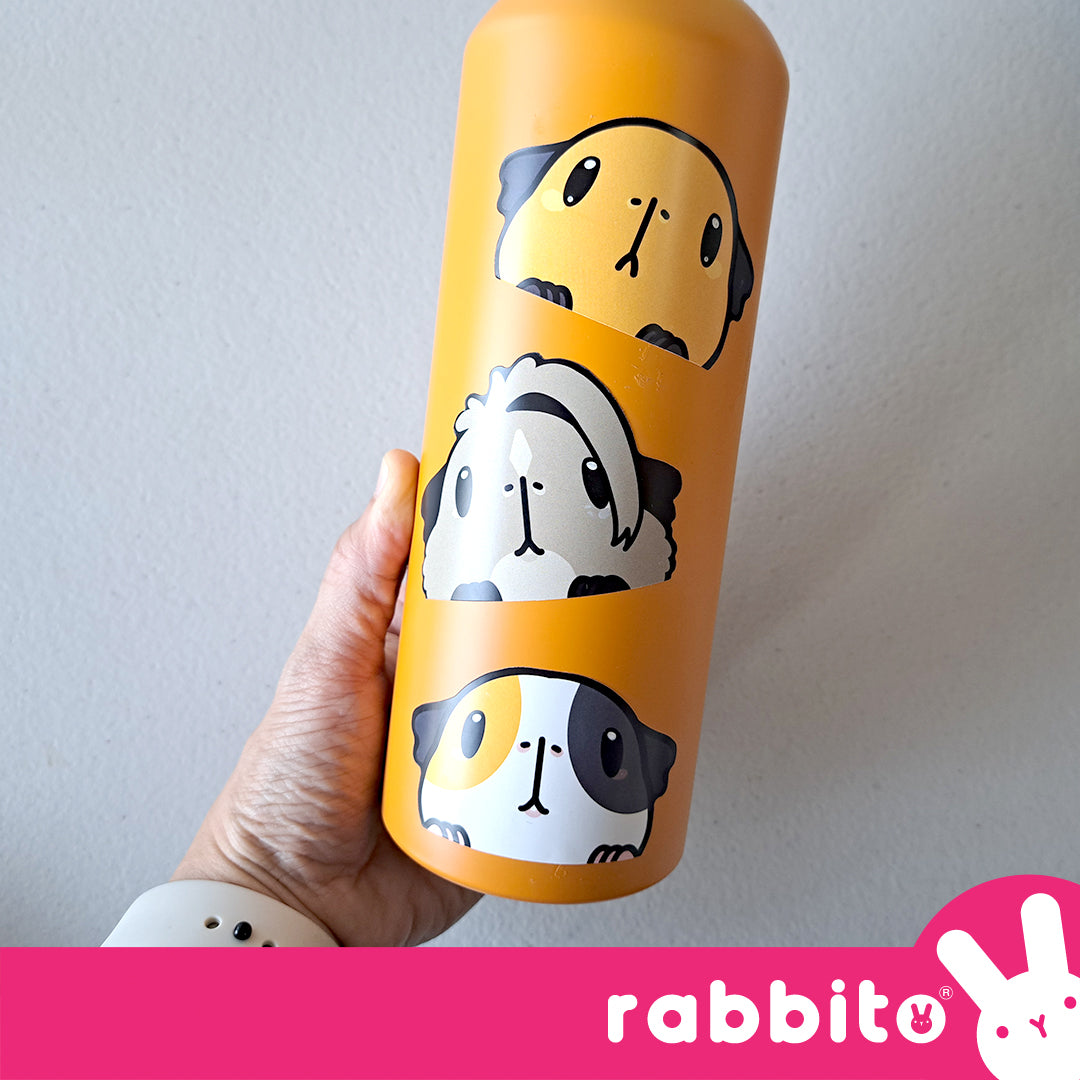 CABA STICKERS Guinea Pig Peeker Stickers