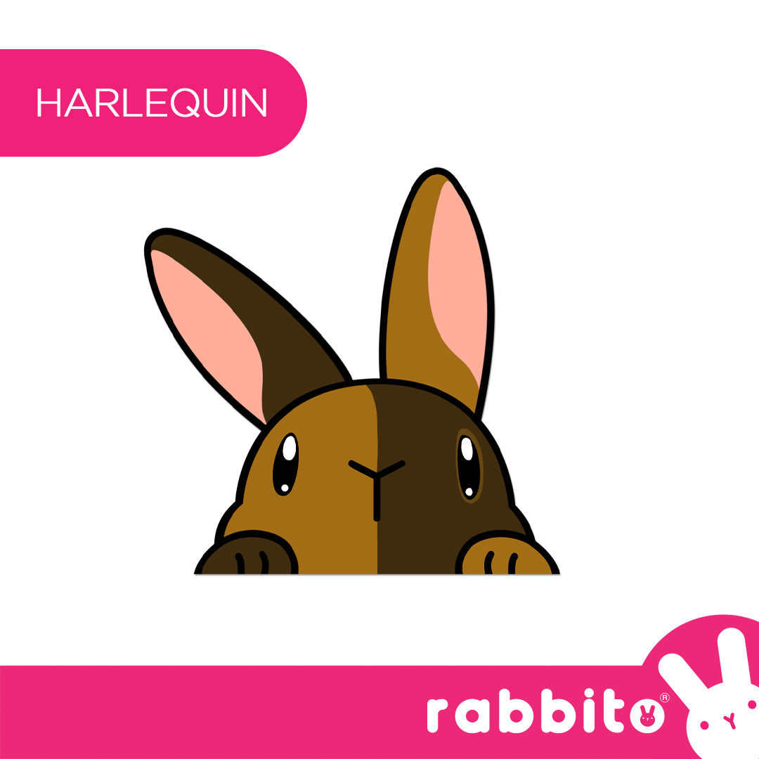 CABA STICKERS Bunny Peeker Stickers Set 3