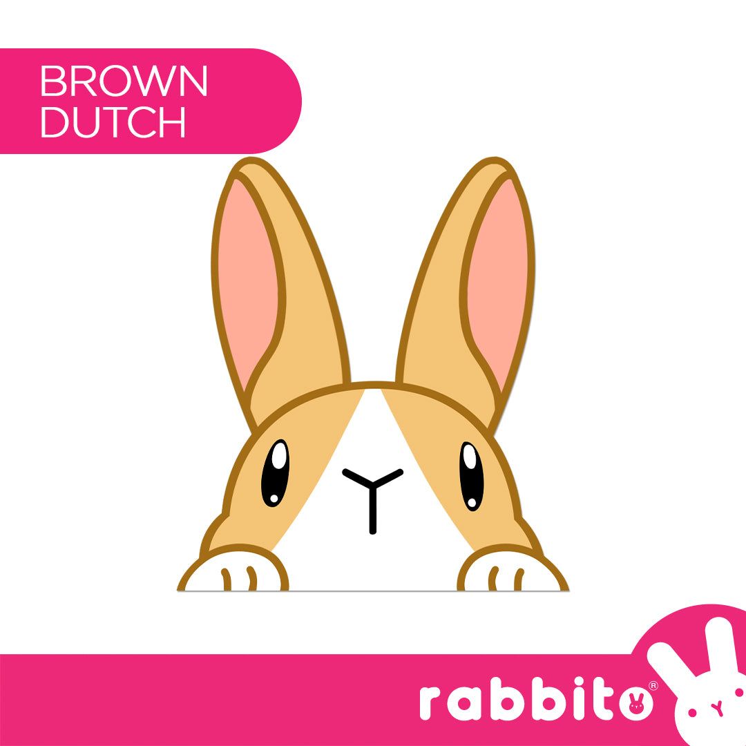Bunny Peekers Magnetic Bookmarks