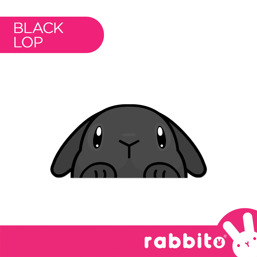 Bunny Peekers Magnetic Bookmarks