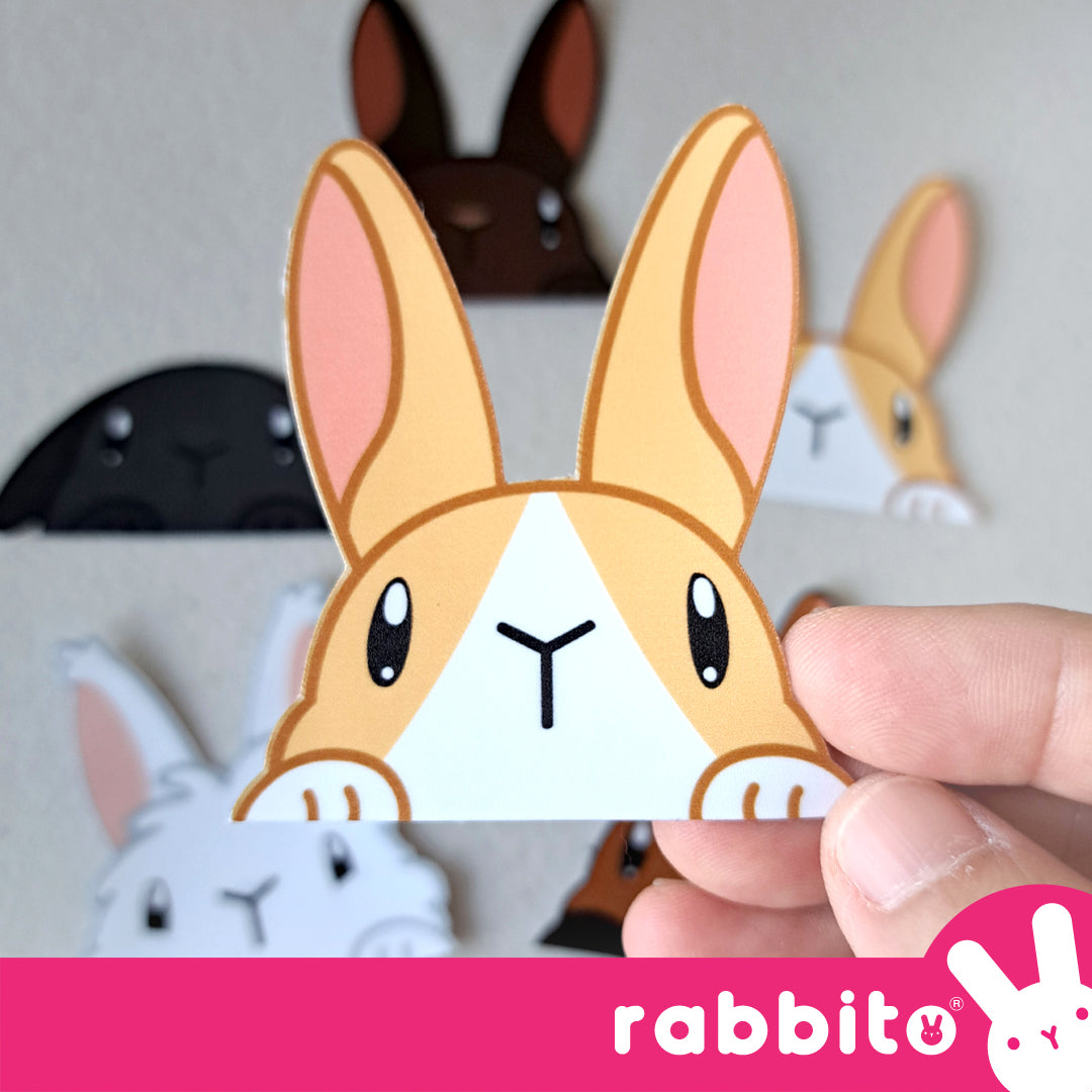 CABA STICKERS Bunny Peeker Stickers Set 3
