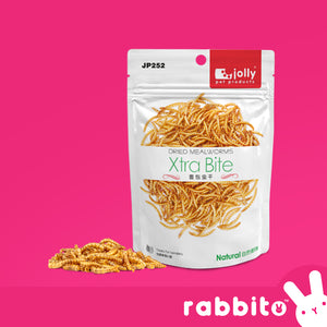 Jolly Xtra Bite Dried Meal Worms 30g Treats for hamsters