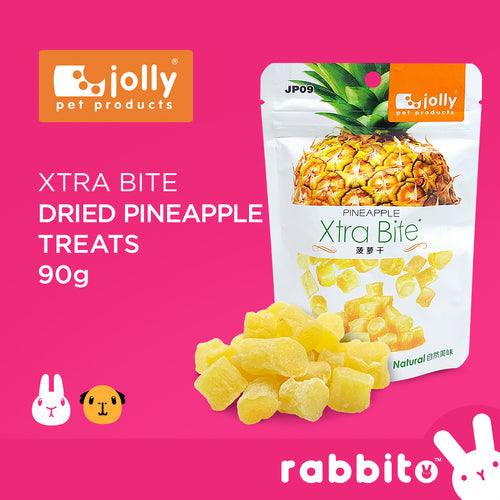 Jolly Xtra Bite Dried Pineapple Treats 90g