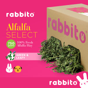 ALFALFA SELECT Premium Alfalfa Hay 750g by Rabbito
