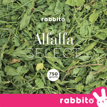 Load image into Gallery viewer, ALFALFA SELECT Premium Alfalfa Hay 750g by Rabbito