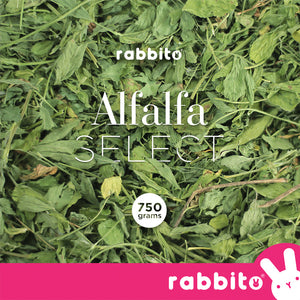 ALFALFA SELECT Premium Alfalfa Hay 750g by Rabbito