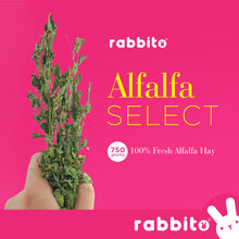 Load image into Gallery viewer, ALFALFA SELECT Premium Alfalfa Hay 750g by Rabbito