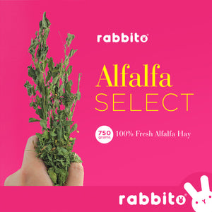 ALFALFA SELECT Premium Alfalfa Hay 750g by Rabbito