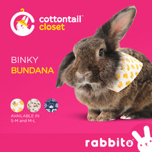 Load image into Gallery viewer, Cottontail Closet BINKY BUNDANA Adjustable Bandana Bib