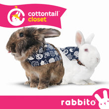 Load image into Gallery viewer, Cottontail Closet BINKY BUNDANA Adjustable Bandana Bib