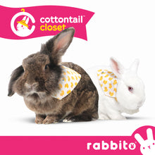 Load image into Gallery viewer, Cottontail Closet BINKY BUNDANA Adjustable Bandana Bib