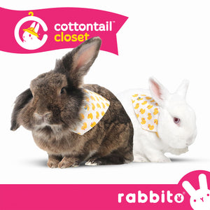 Cottontail Closet BINKY BUNDANA Adjustable Bandana Bib