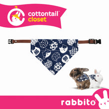 Load image into Gallery viewer, Cottontail Closet BINKY BUNDANA Adjustable Bandana Bib