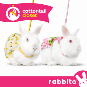 Cottontail Closet DAINTY DRESS SET Cute Costume for Rabbits