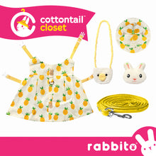 Load image into Gallery viewer, Cottontail Closet DAINTY DRESS SET Cute Costume for Rabbits