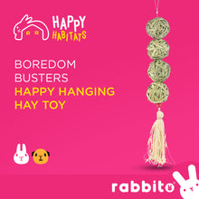 Load image into Gallery viewer, Happy Habitats Boredom Busters HAPPY HANGING HAY TOY