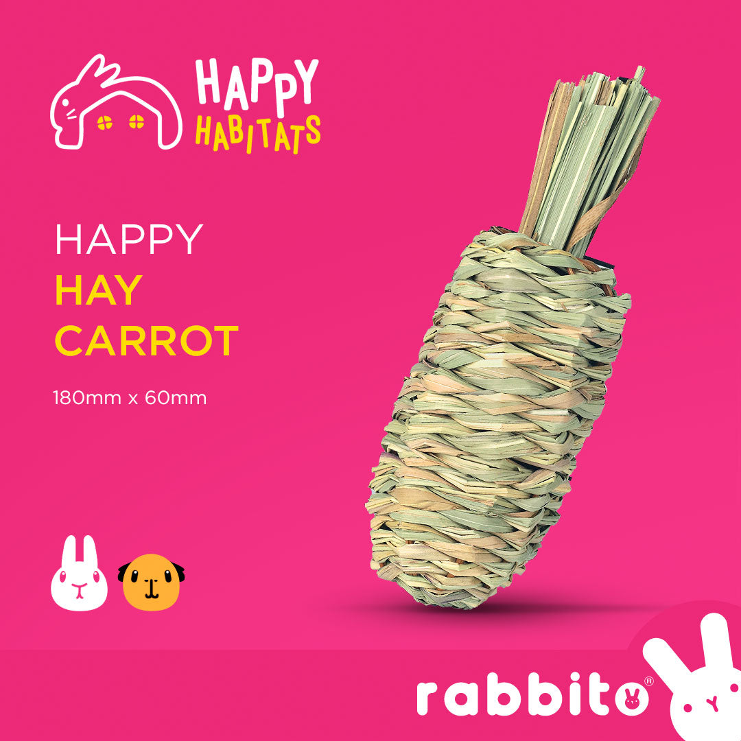 Happy Habitats Happy HAY CARROT Toy