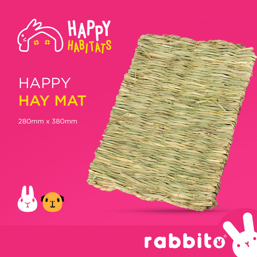 Happy Habitats Happy HAY MAT