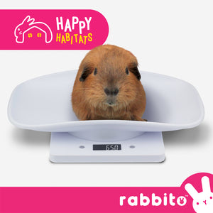 Happy Habitats WONDERFUL WEIGHING SCALE (Small)