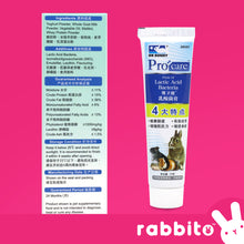 Load image into Gallery viewer, Dr. Bunny Procare Lactic Acid Paste 70g