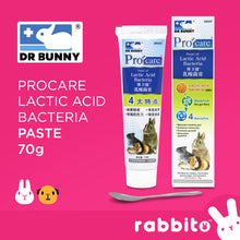 Load image into Gallery viewer, Dr. Bunny Procare Lactic Acid Paste 70g
